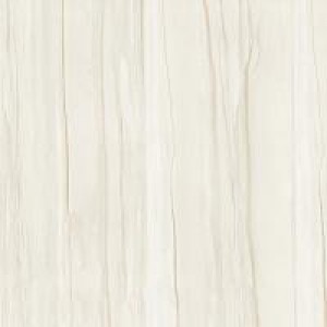 Gạch Trường Thịnh TT88041